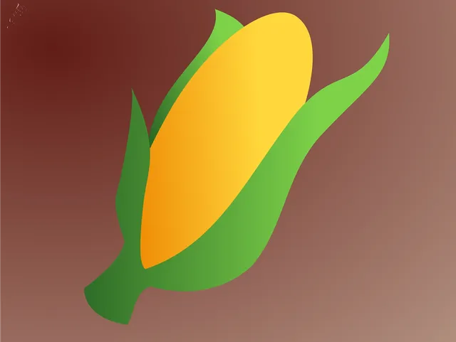 White corn to India