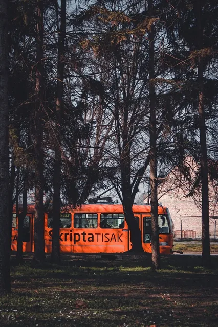 City Trams