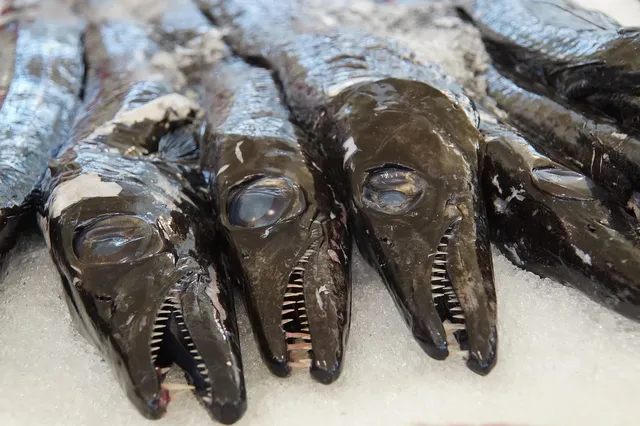 Seeking funds to acquiring a running fish company