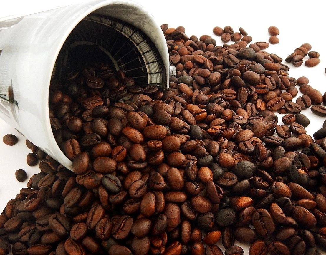 Premium Coffee