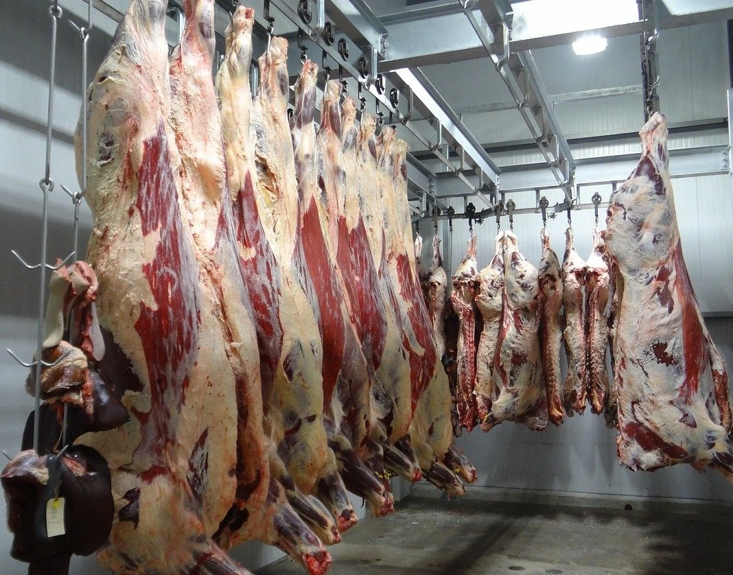 Meat processing / Distribution, SE Asia, EU