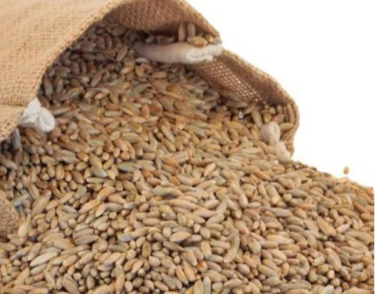 Rye Grain