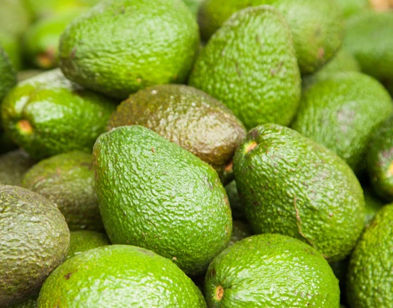 Avocado
